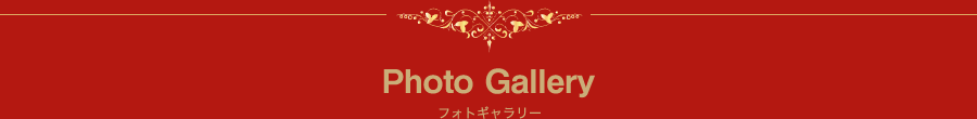 Photo Gallery フォトギャラリー