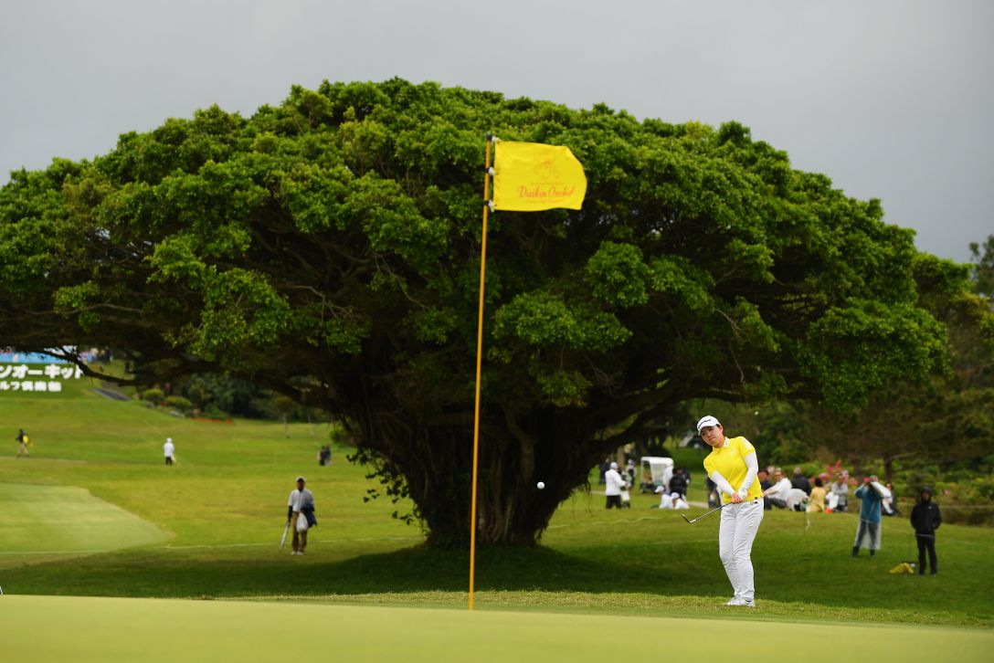 山内 日菜子 プロフィール詳細|JLPGA|日本女子プロゴルフ協会